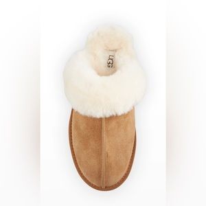 Ugg Slippers SCUFFETTE II chestnut 10W New